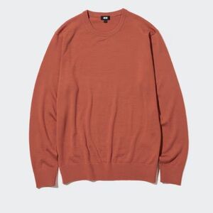 Uniqlo Extra fine Marino Wool crew neck sweater